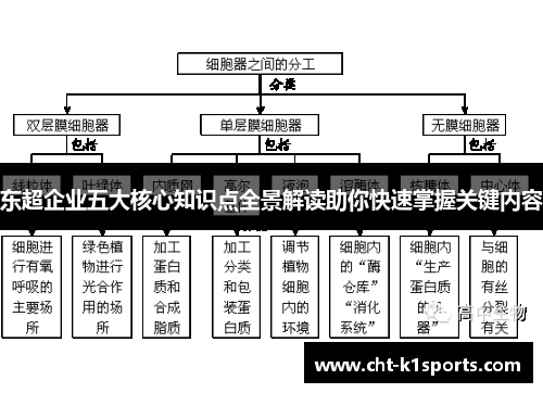 东超企业五大核心知识点全景解读助你快速掌握关键内容