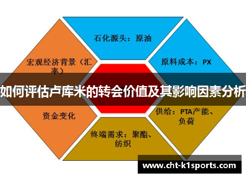 如何评估卢库米的转会价值及其影响因素分析