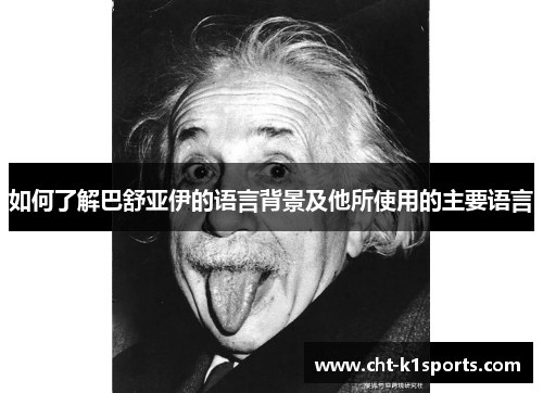 如何了解巴舒亚伊的语言背景及他所使用的主要语言