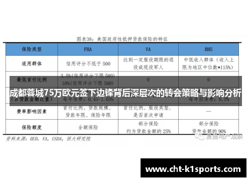 成都蓉城75万欧元签下边锋背后深层次的转会策略与影响分析