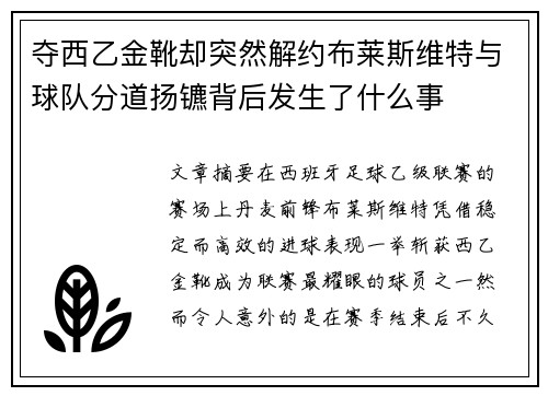 夺西乙金靴却突然解约布莱斯维特与球队分道扬镳背后发生了什么事